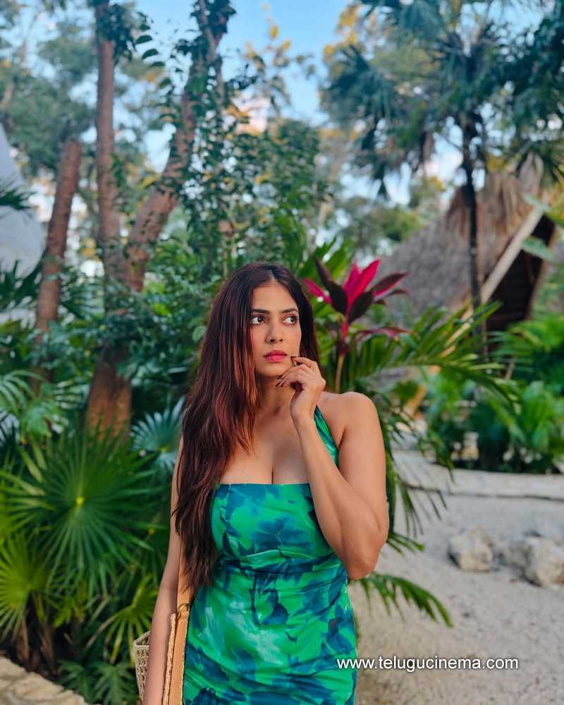 malavika still 24012505