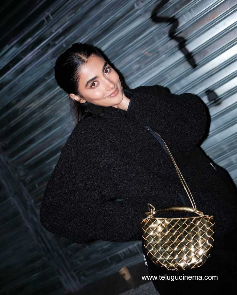 pooja stilla 16012502
