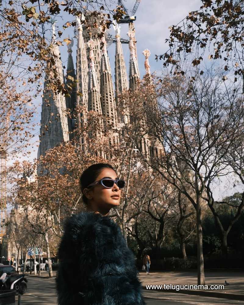 pooja stilla 16012507