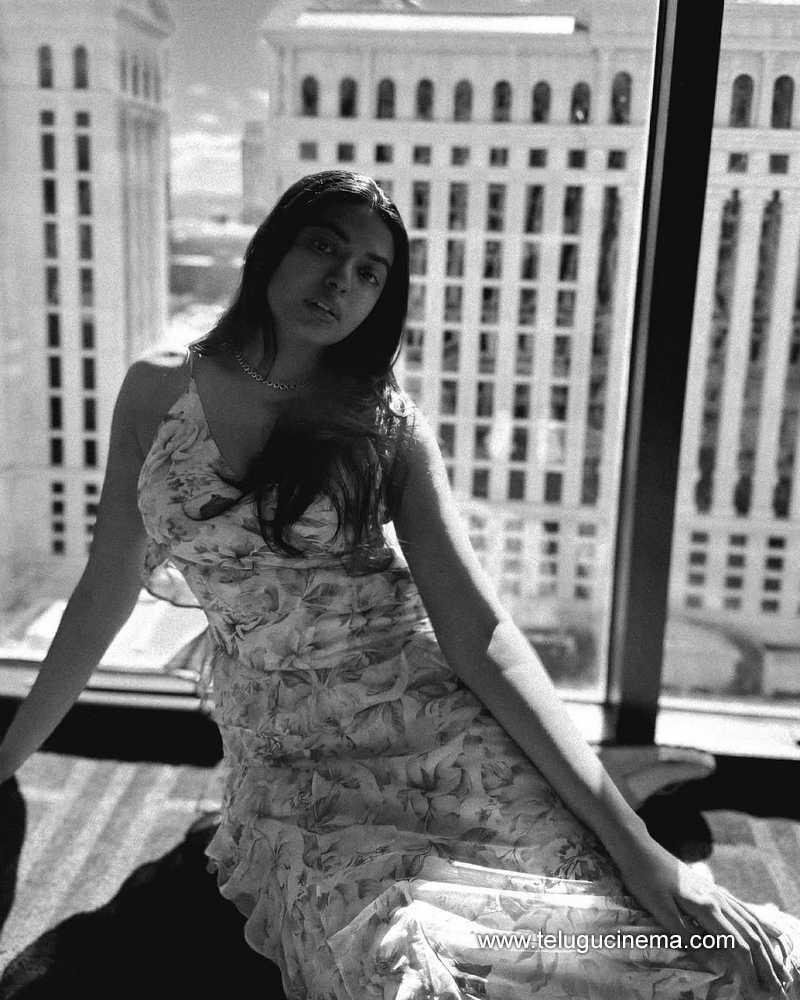 shivani stilla 17012502