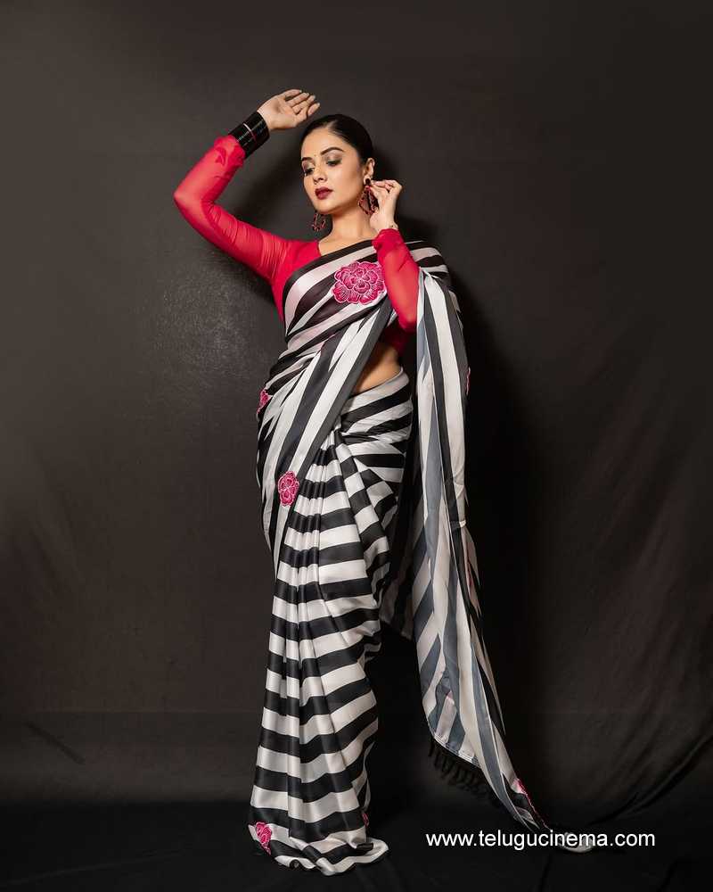 sreemukhi stilla 18012502