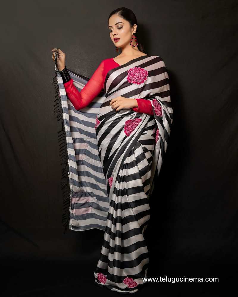 sreemukhi stilla 18012508