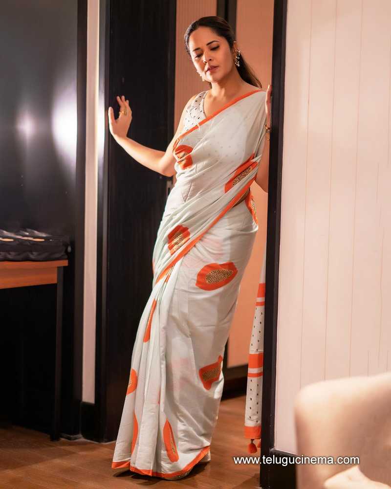 anasuya stills 24022503