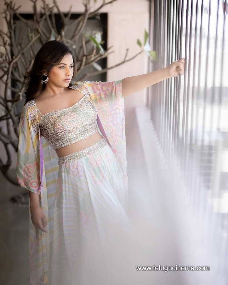 anjali stills 27022503