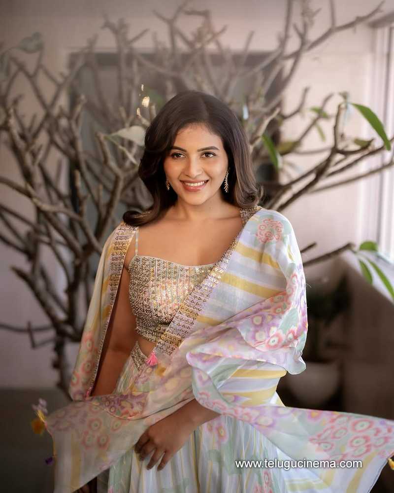anjali stills 27022505