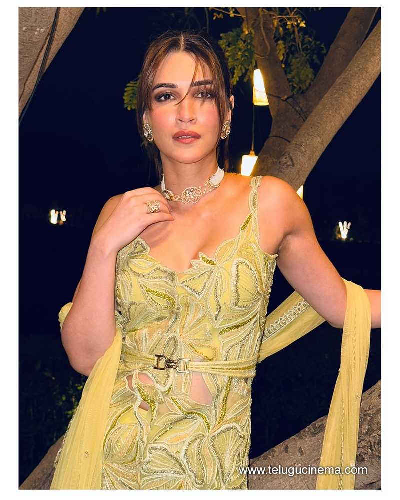 kritisanon stills 22022503