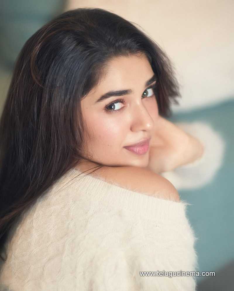 kritishetty stills 27022502