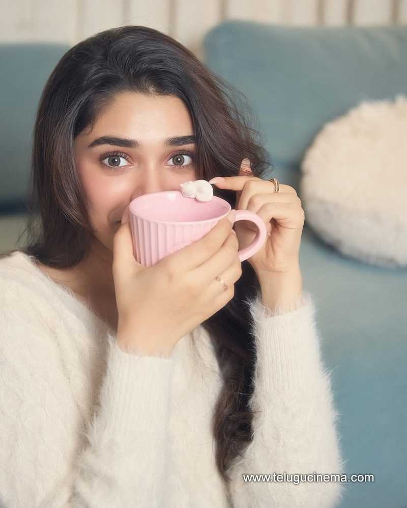 kritishetty stills 27022509