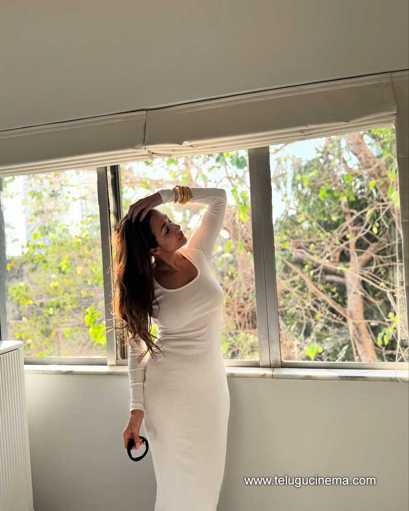 malaika stills 24022502