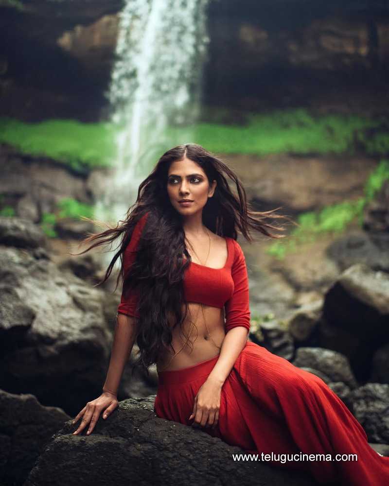 malavika stills 28022505