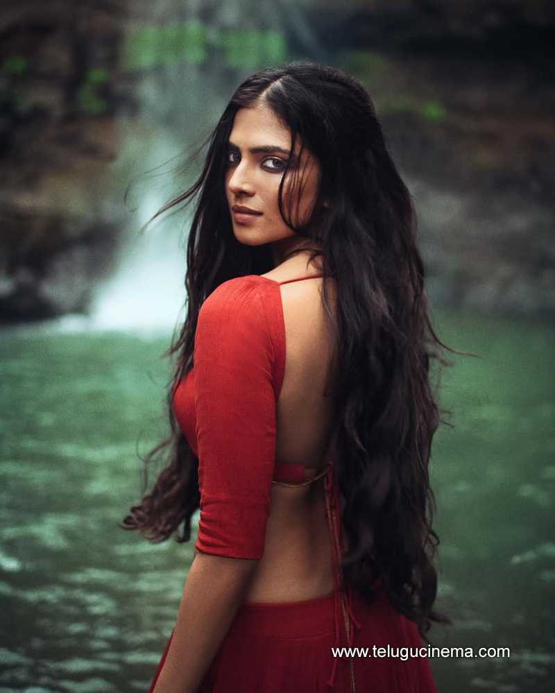 malavika stills 28022507