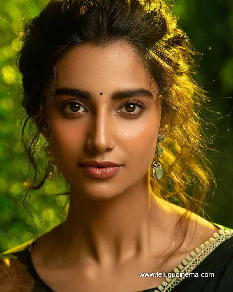 meenakshi stills 22022506