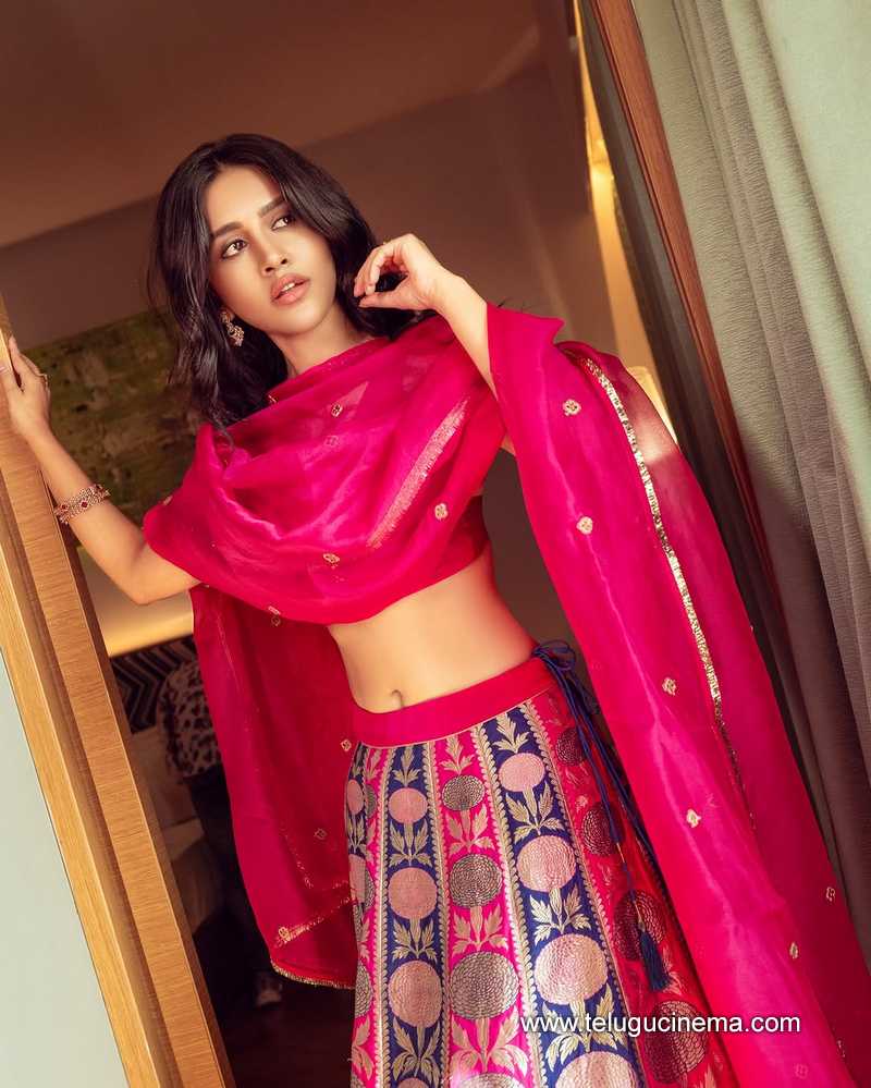 nabha stills 24022508