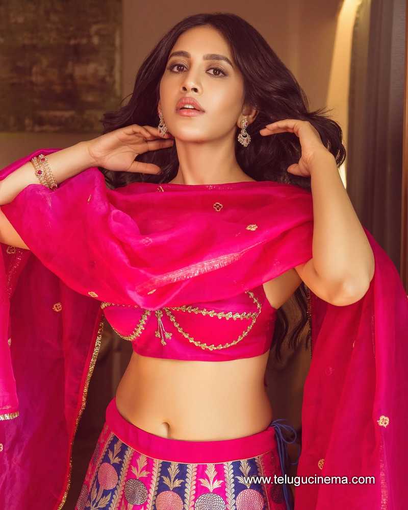 nabha stills 24022511