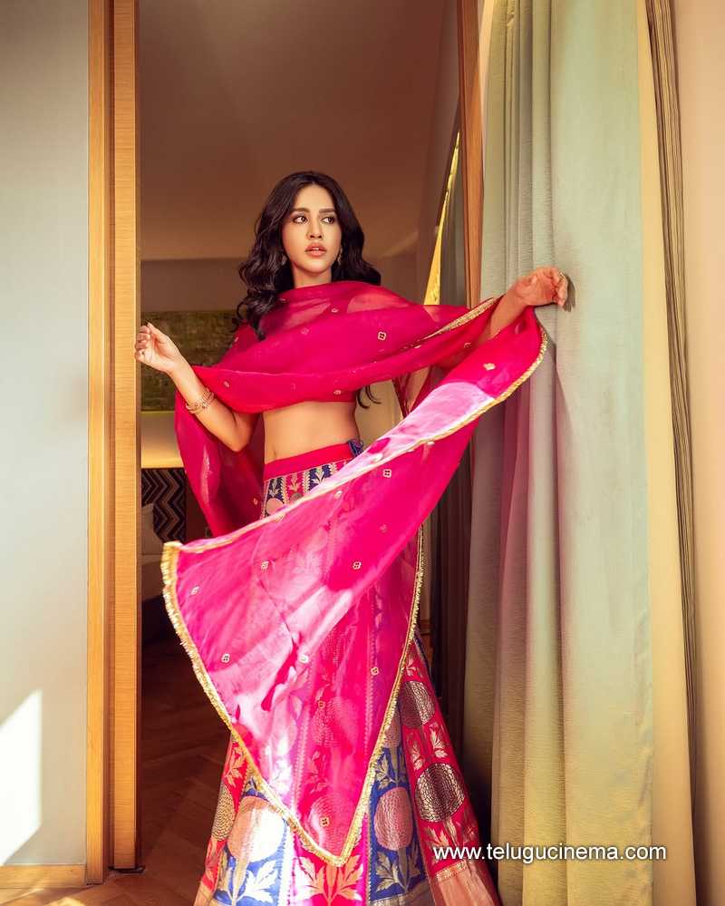 nabha stills 24022512