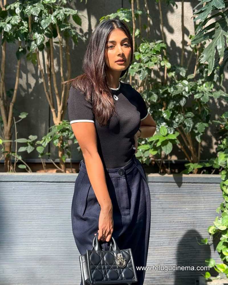 pooja still 8022508