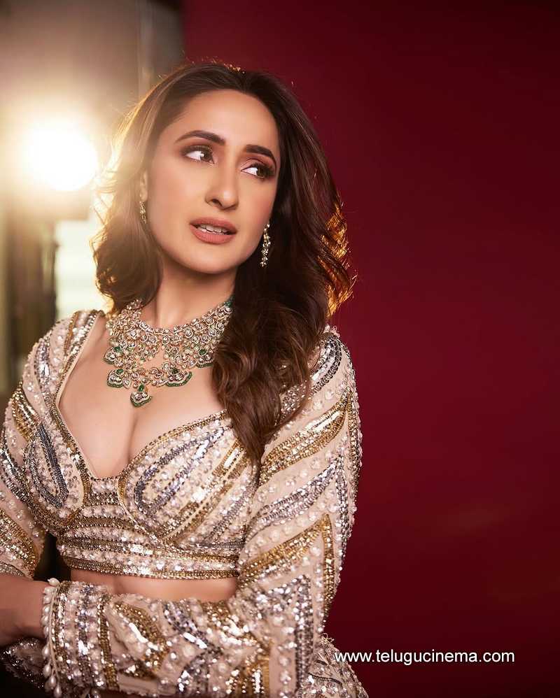 pragya stills 22022502