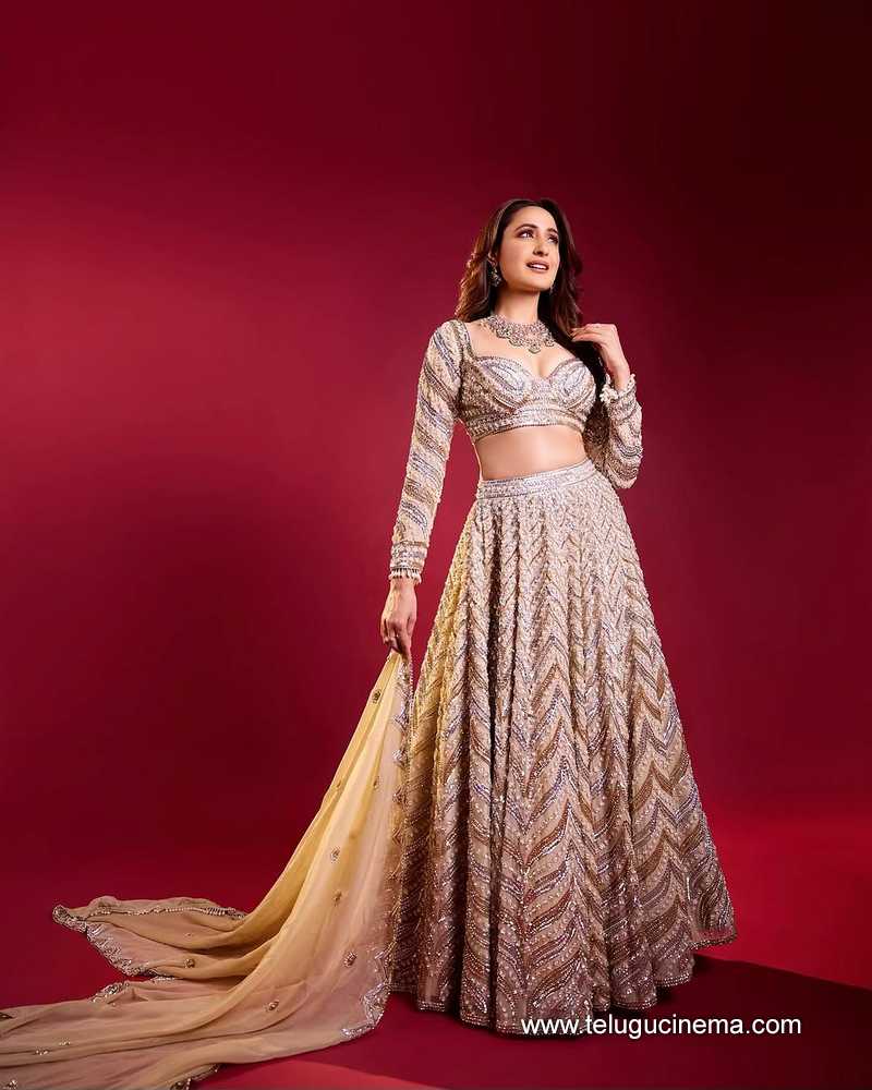 pragya stills 22022504