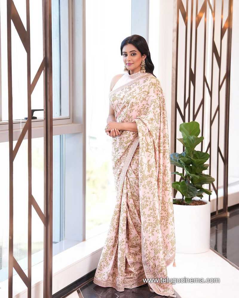 priyamani stills 19022502