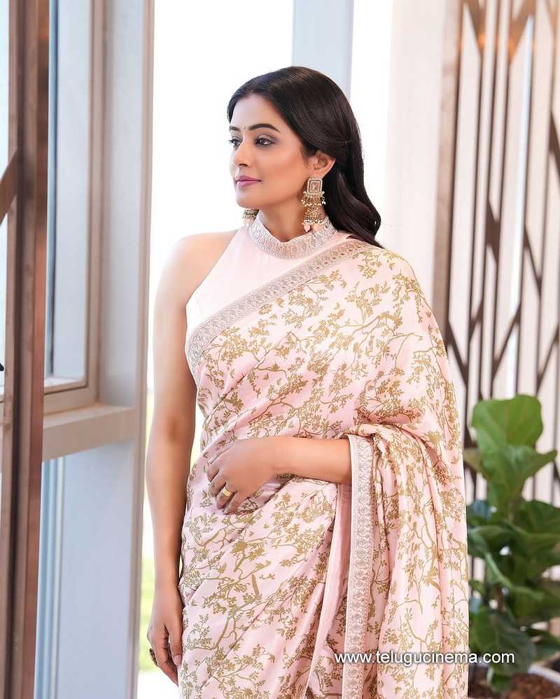 priyamani stills 19022503