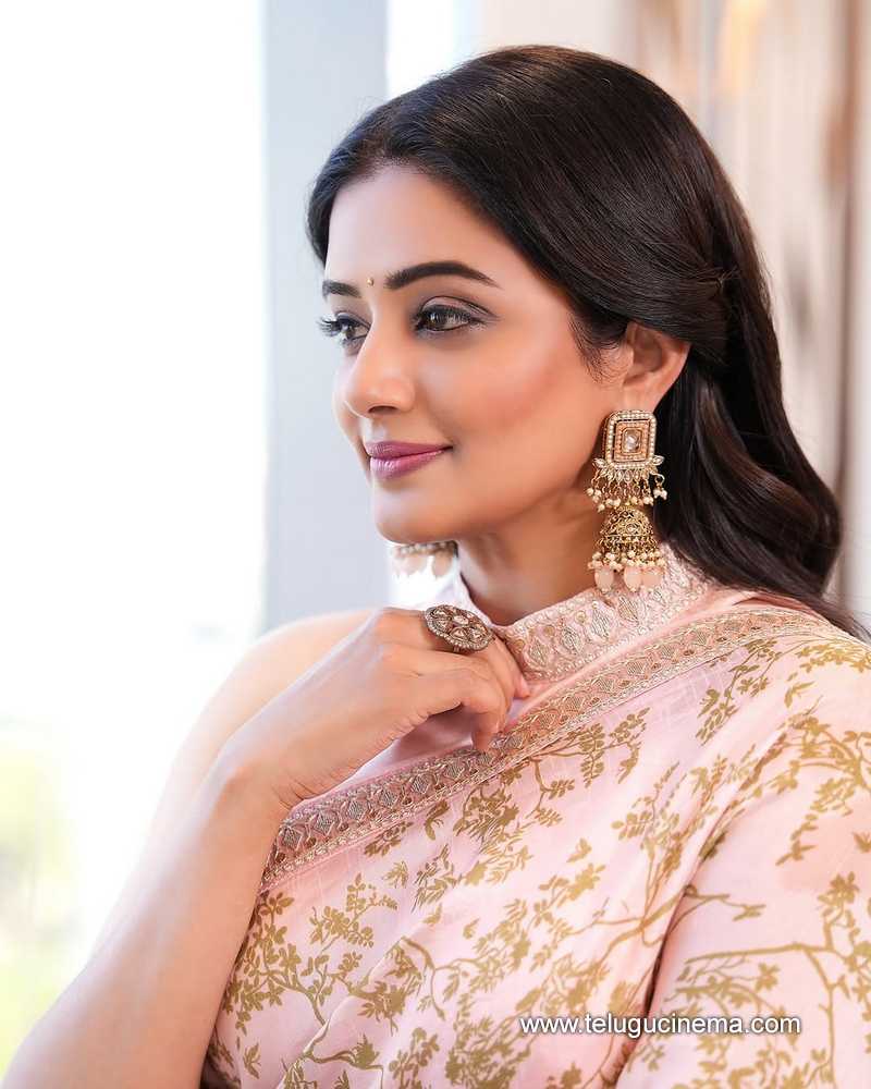 priyamani stills 19022504