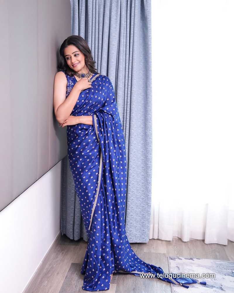 priyamani stills 28022506
