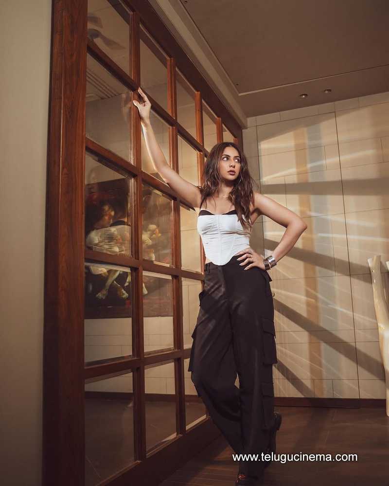 rakul stills 24022505