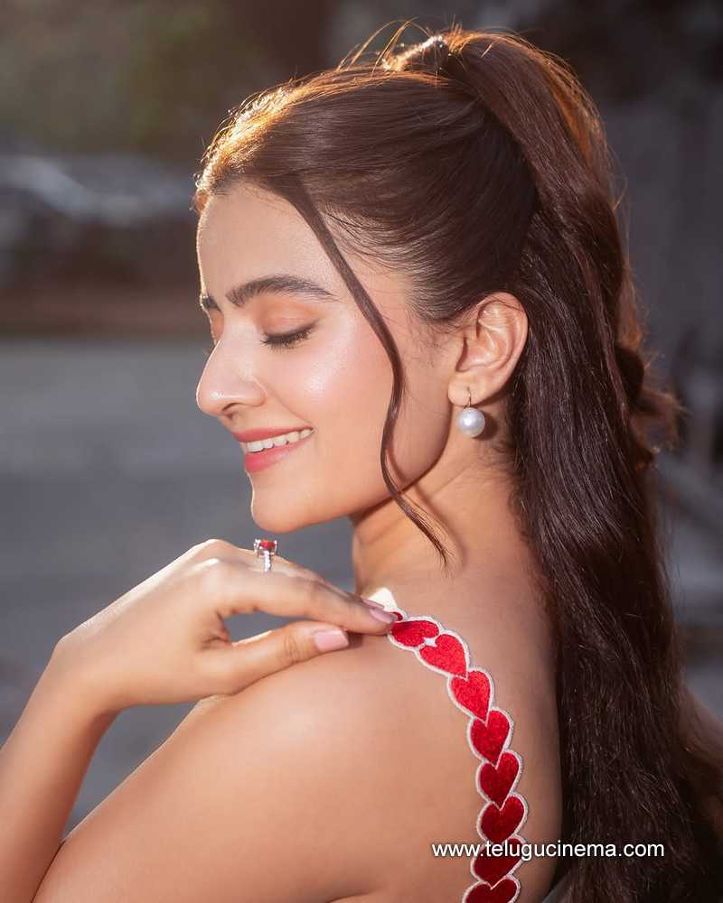 rukshardiilon stills 21022505