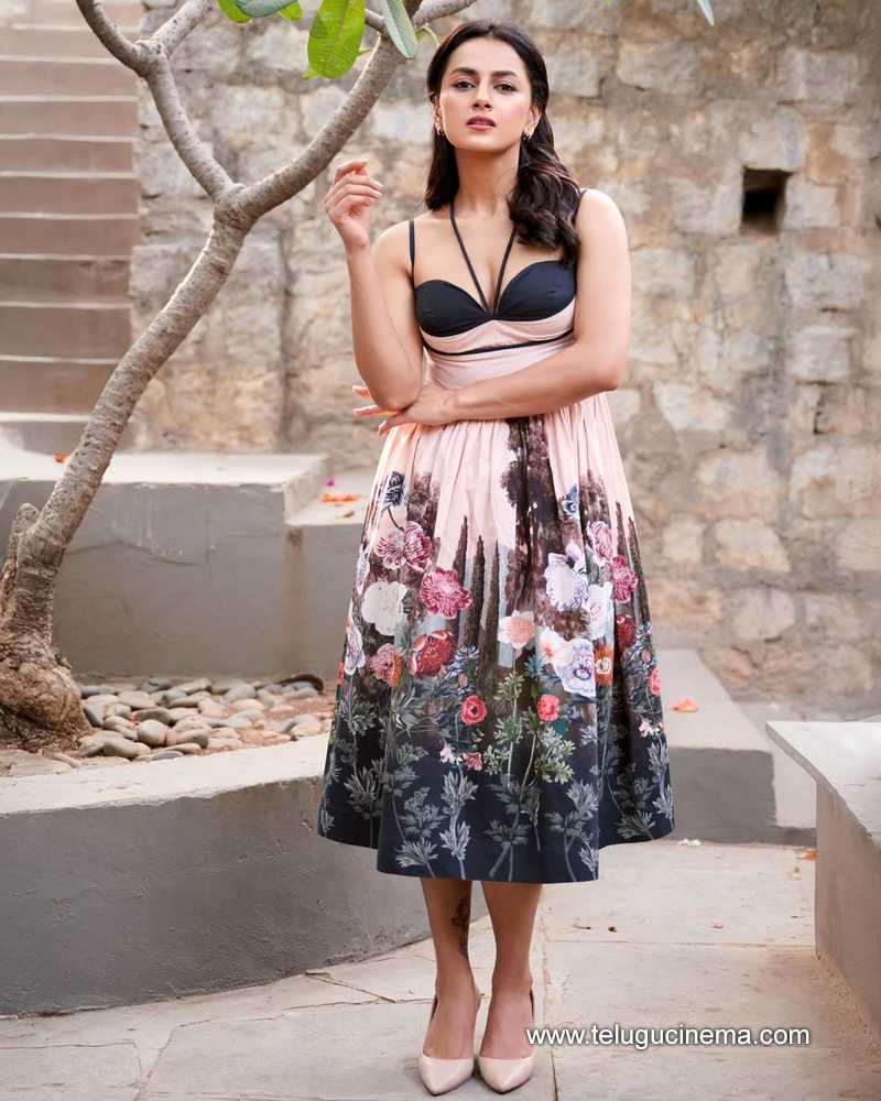 shraddha still 17522503