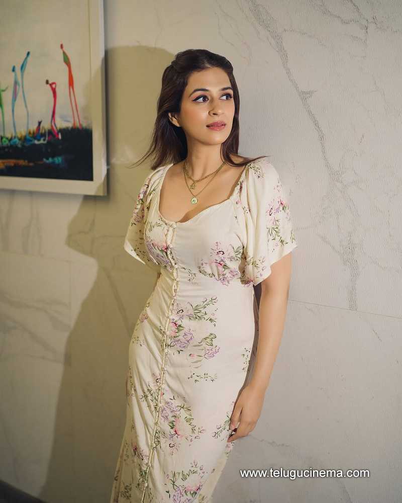 shraddhadas still 6022502