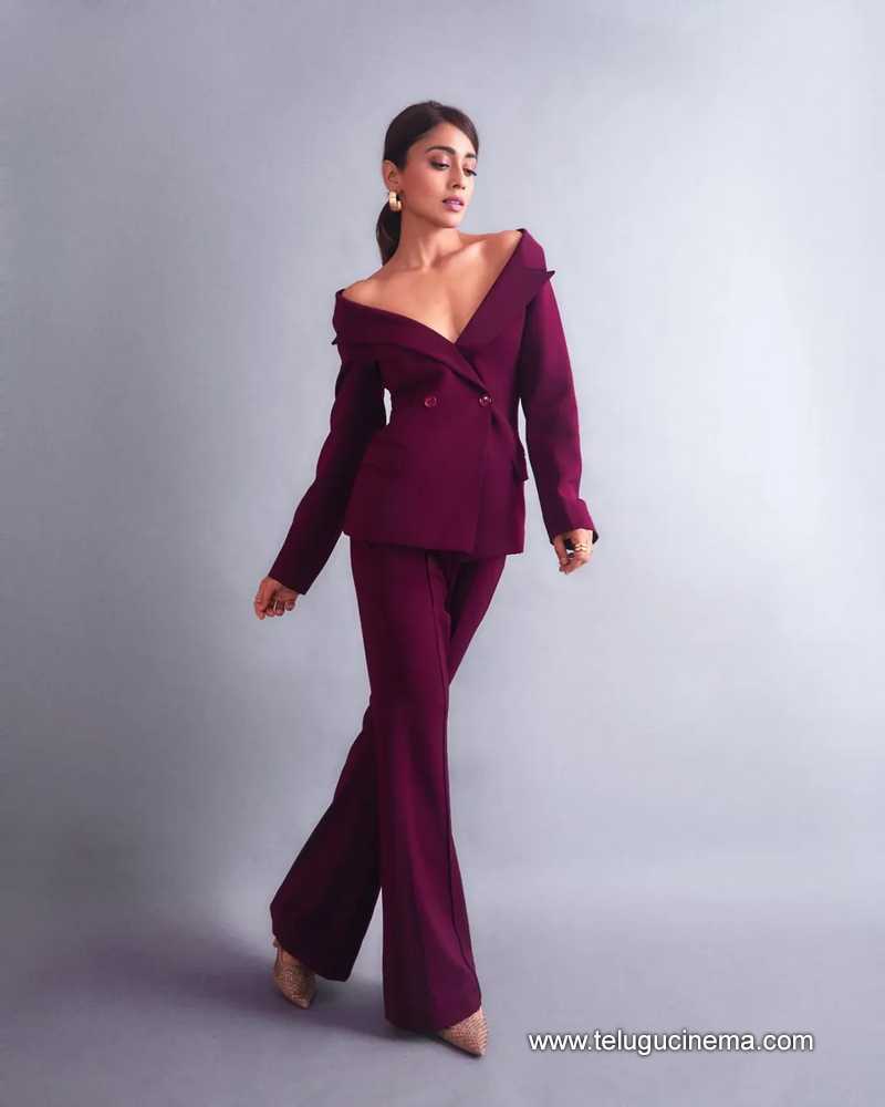 shriya still 13022504