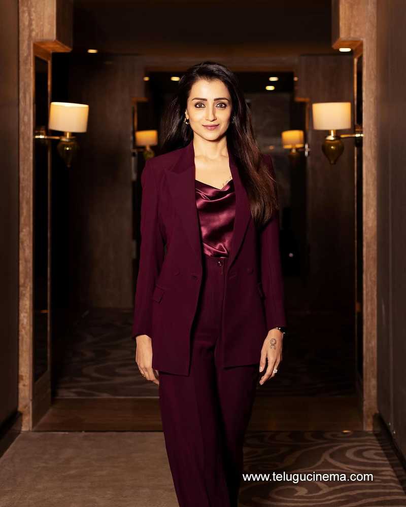 trisha stills 22022502