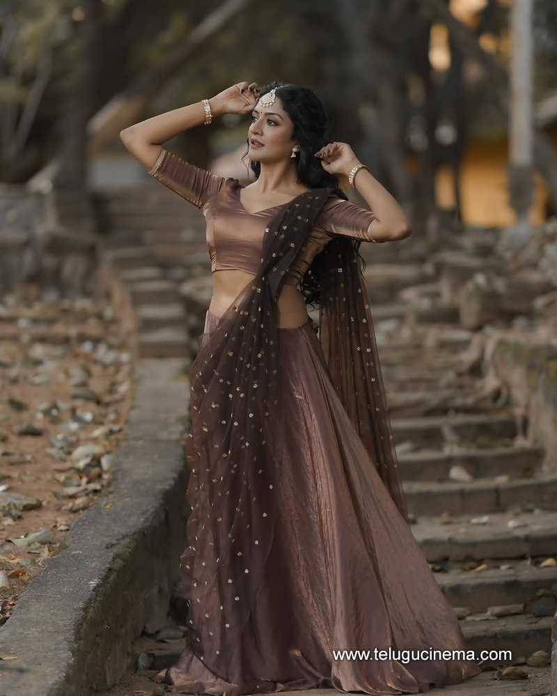 vimala stills 21022503