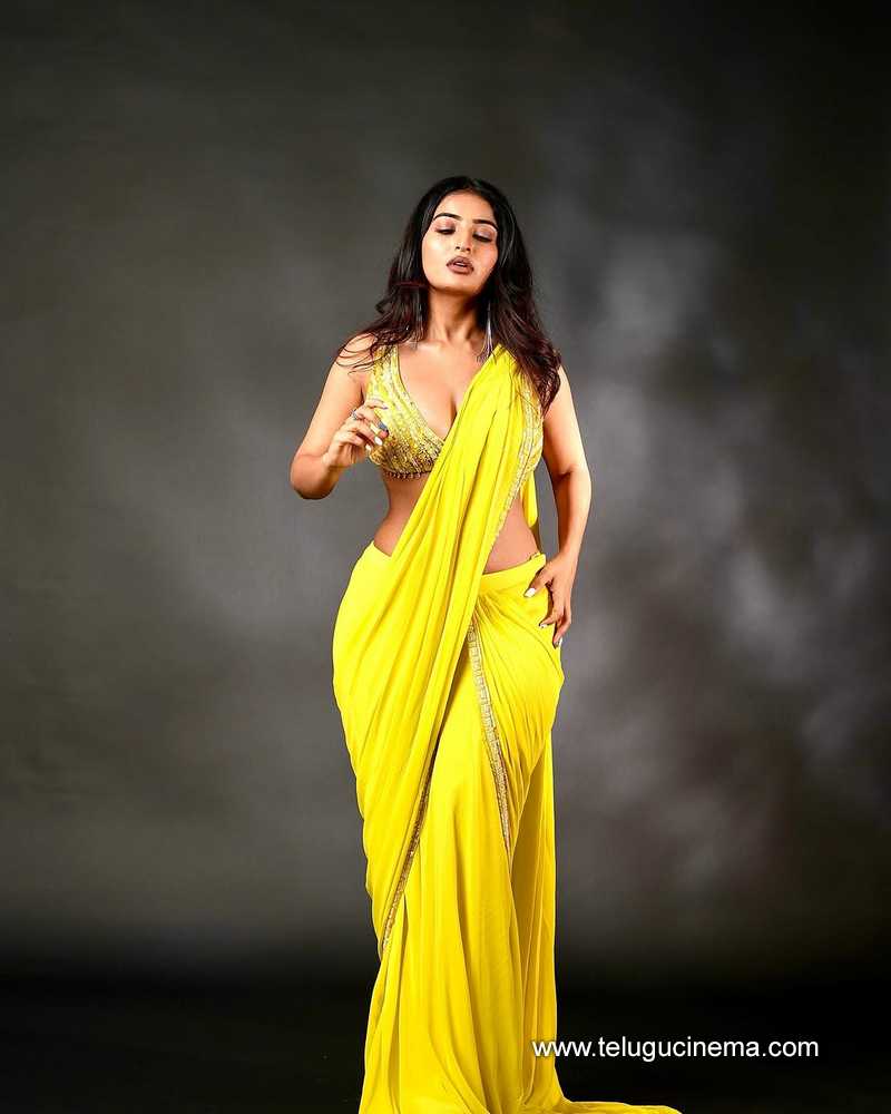 ananya stills 14032503