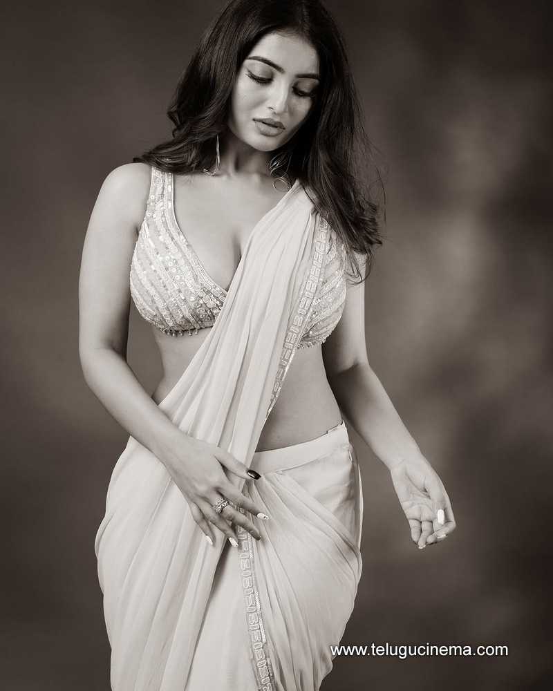ananya stills 14032504
