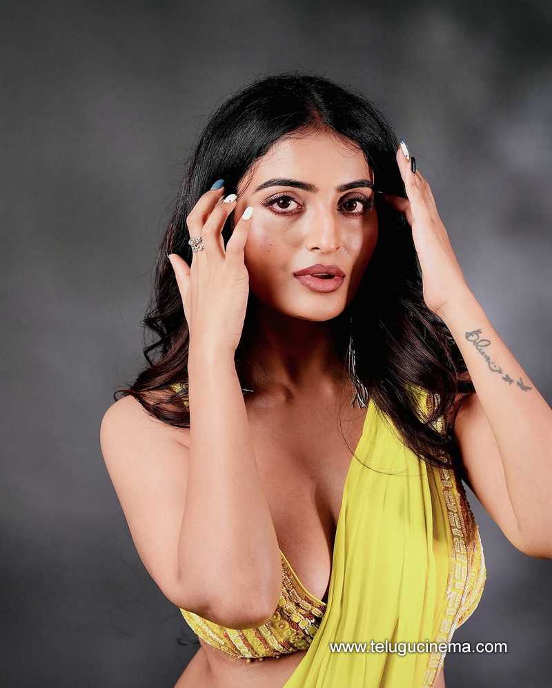 ananya stills 14032506