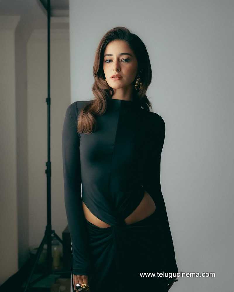 ananya stills 28032503