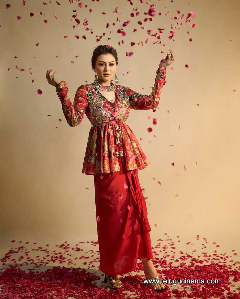 hansika stills 20032510