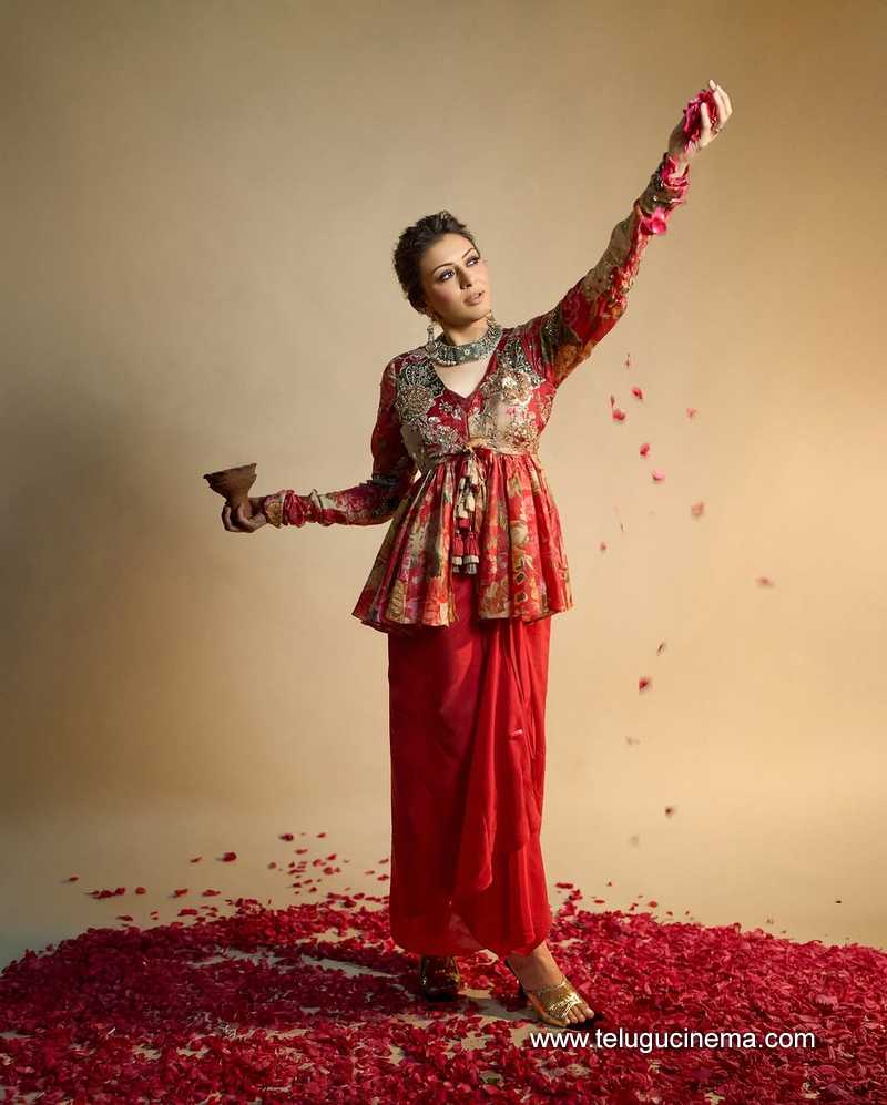 hansika stills 20032511