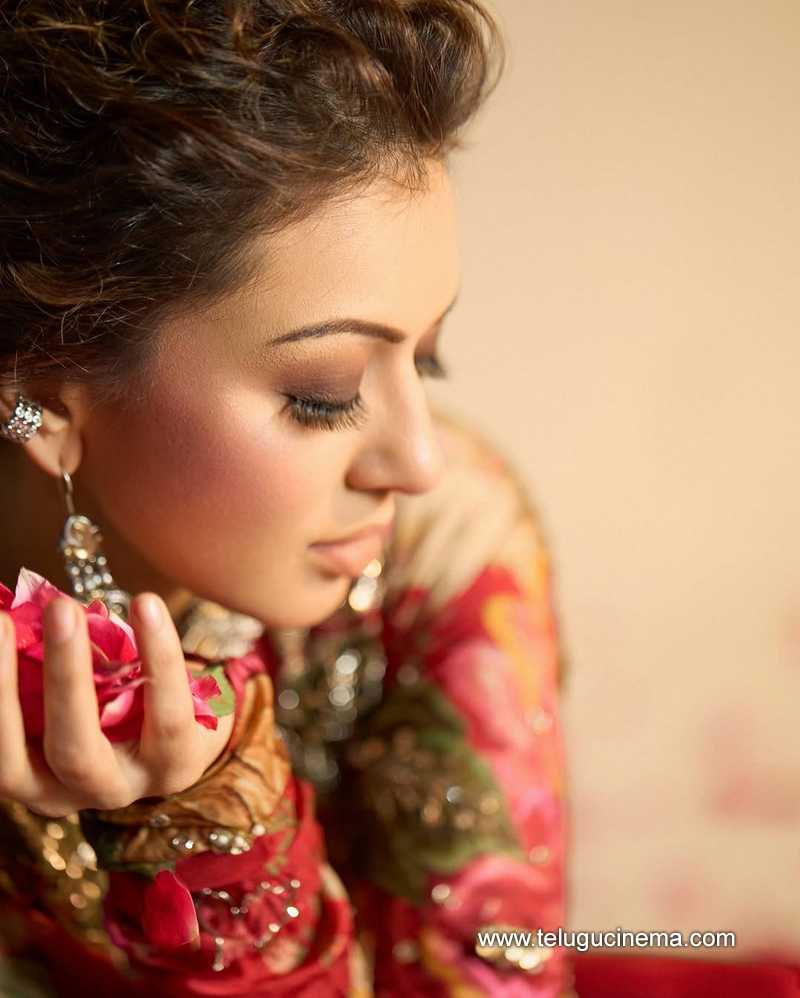 hansika stills 20032512