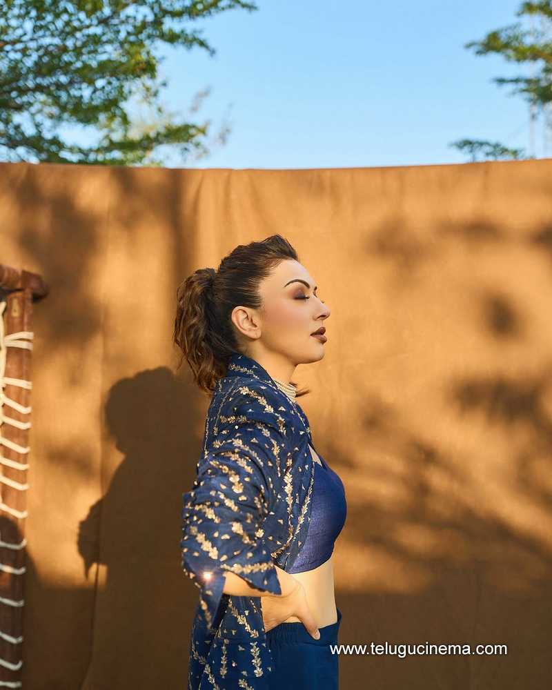 hansika stills 26032503