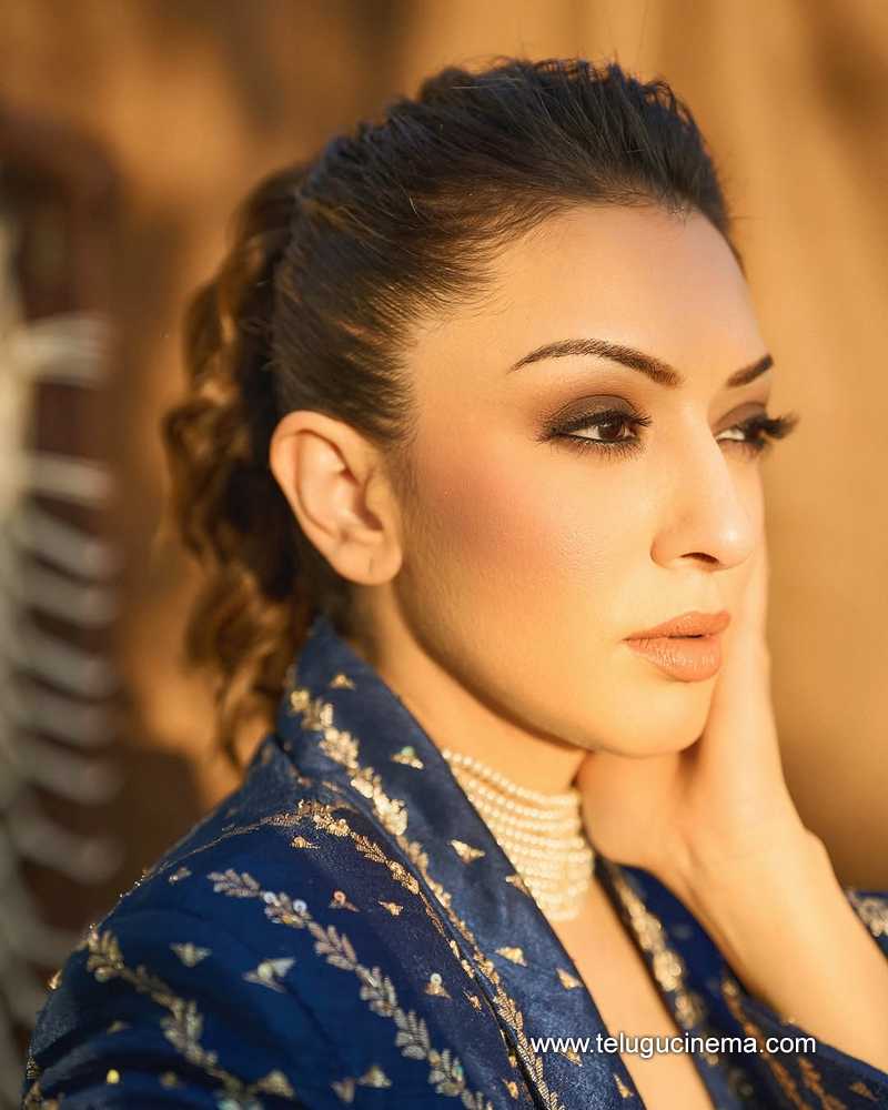 hansika stills 26032504