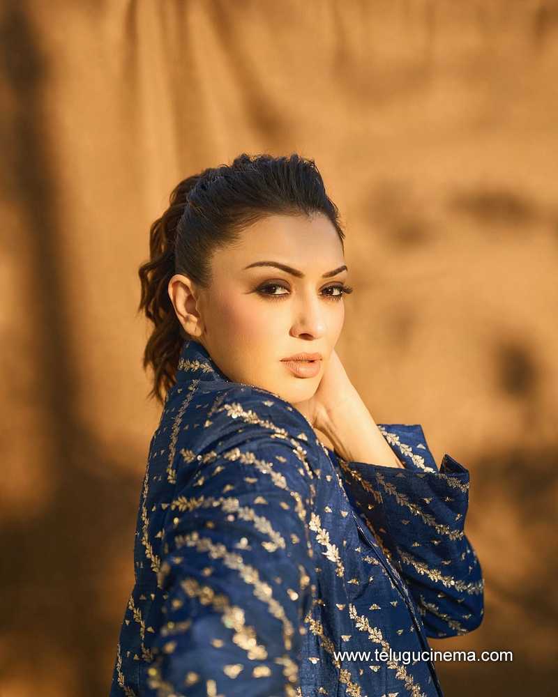 hansika stills 26032507