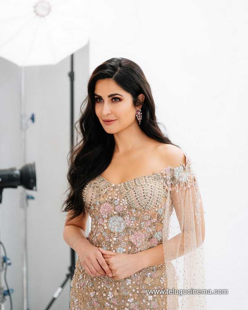 katrina stills 11032502