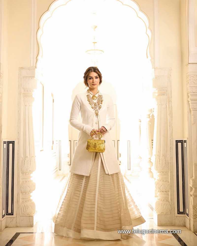 kritisanon stills 10032502