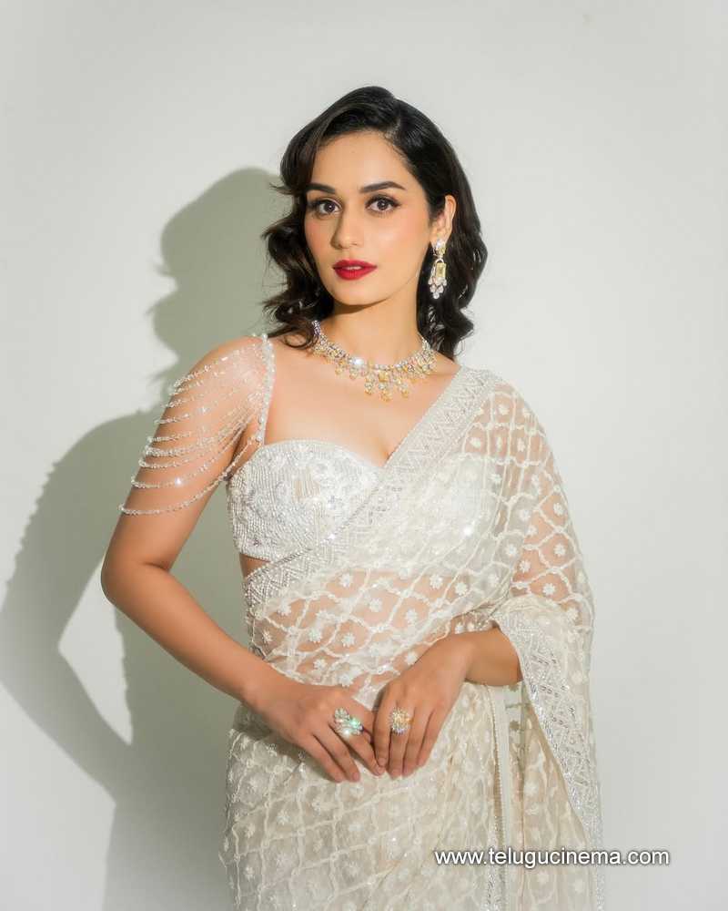 manushoi stills 04032504
