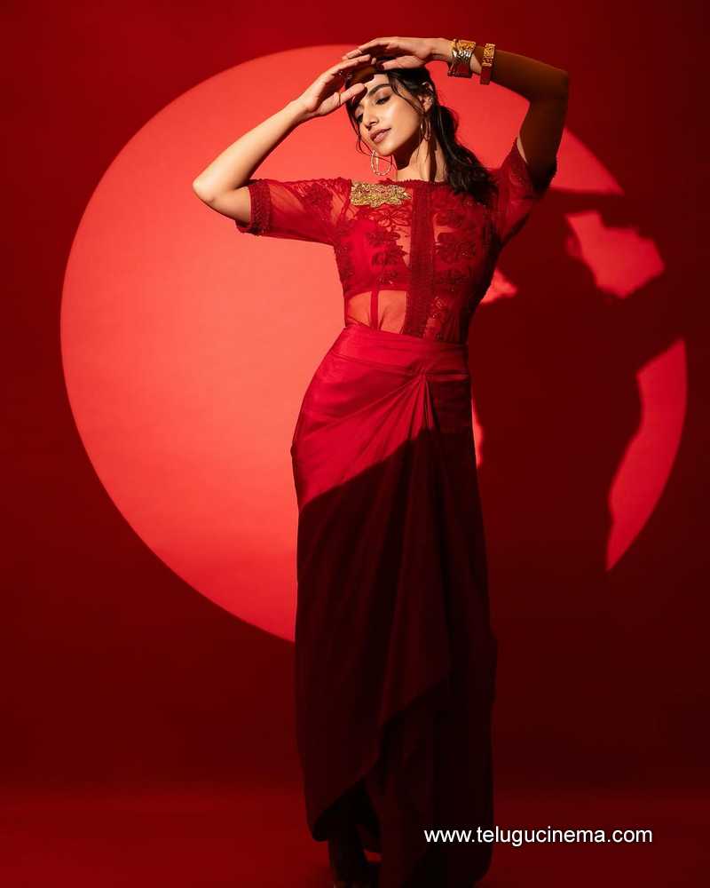 meenakshi stills 19032502