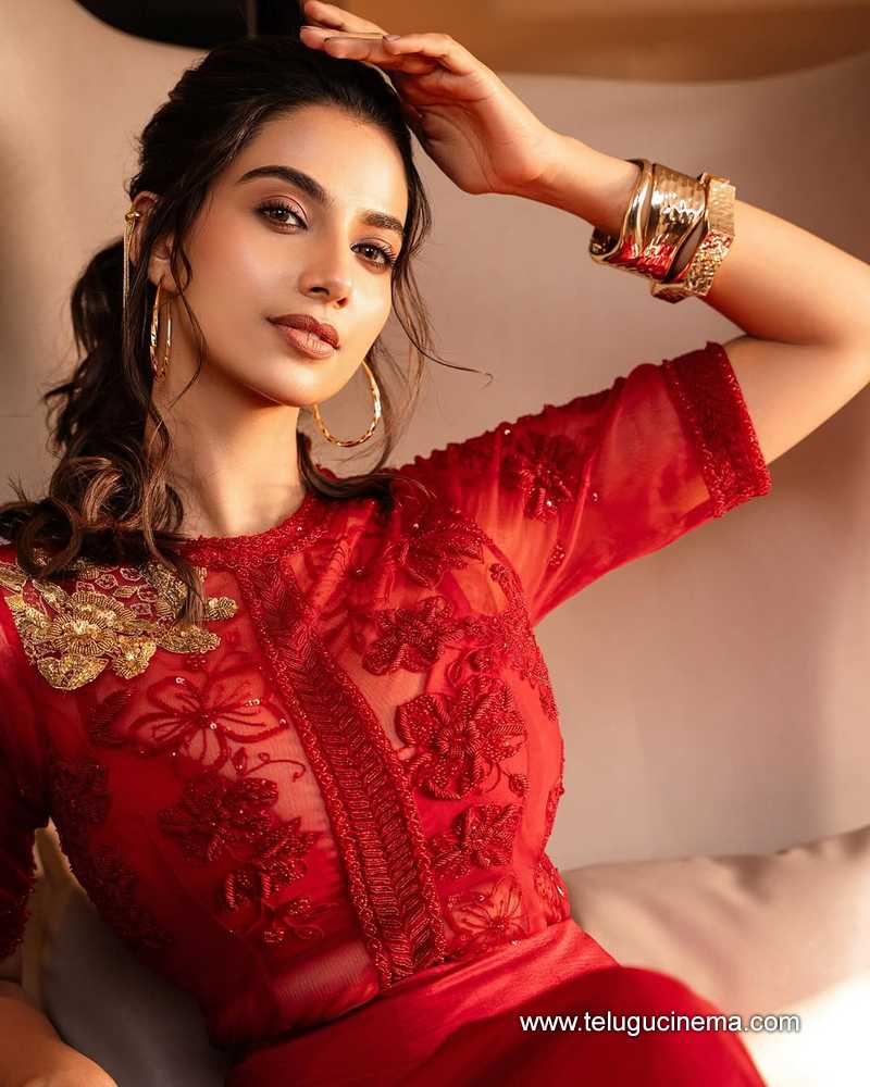 meenakshi stills 19032503