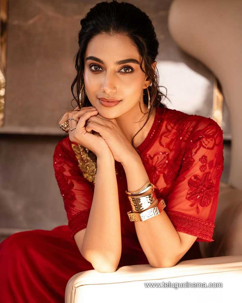 meenakshi stills 19032504