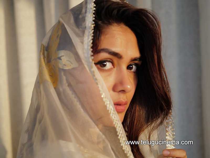 mrunal stills 04032505